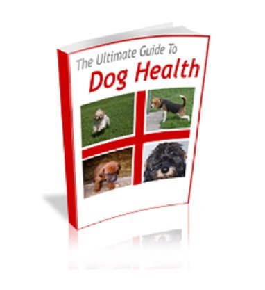 $99.95 Dog Training Mastery Course for Better Behavior at Home