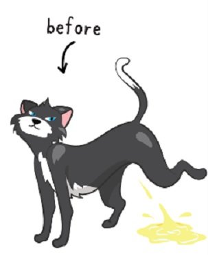 $37 Cat Spray Stop Guide for Cats Marking Territory Indoors